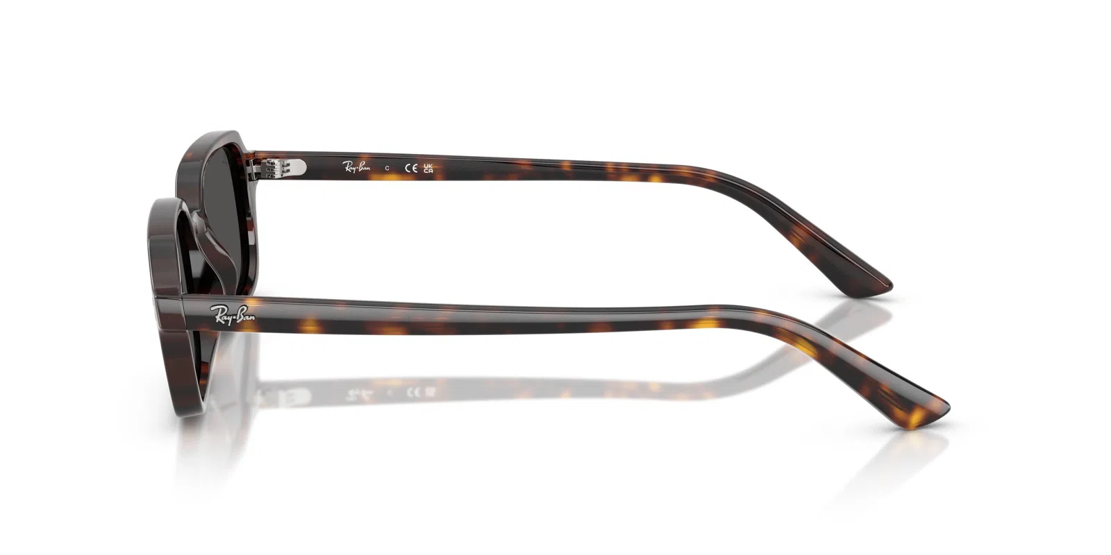 Ray-Ban Zuri 4455 Sunglasses - view 7